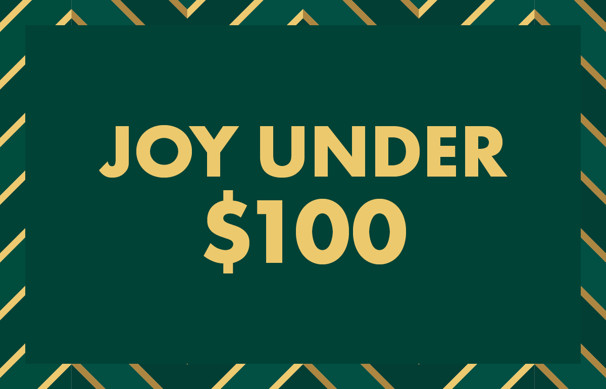 Christmas gift ideas under $100